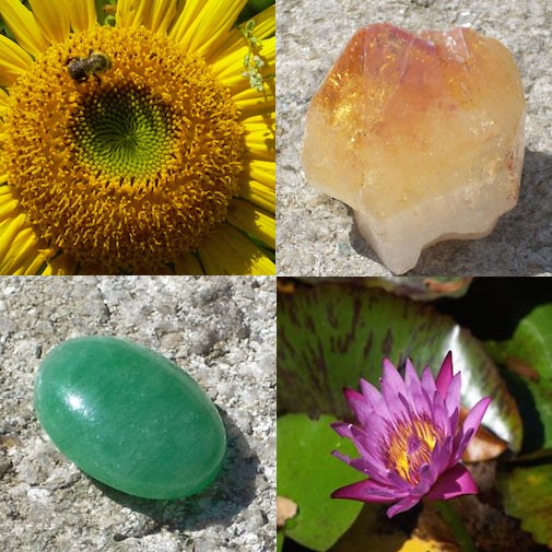 Chakra 2 Sacral Organic, handcrafted, healing flower essences