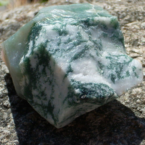 Tree Agate