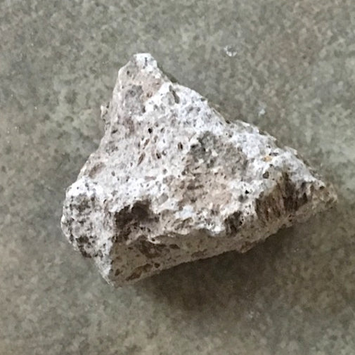 Cold Ash Rocks Volcanic Ash Rock Pompeii Of Prehistoric Plants” Unlocks