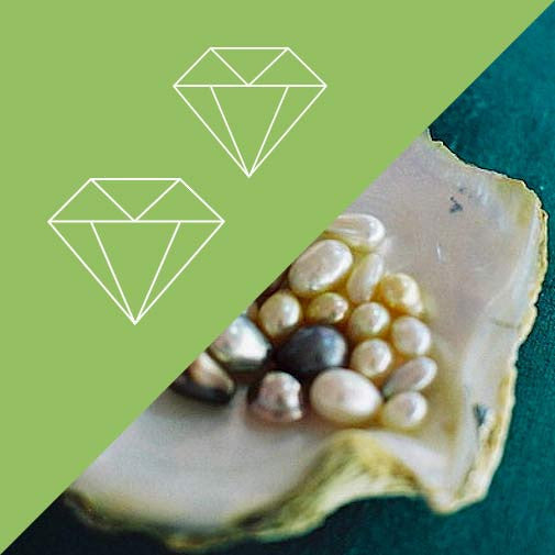 Moonstone-Pearl Plus