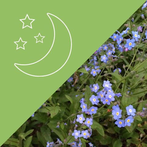 Connection to Guides #4