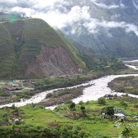 Peru: Flower Notes by David Dalton