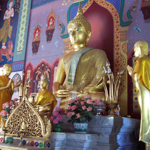 Thailand: Flower Notes by David Dalton