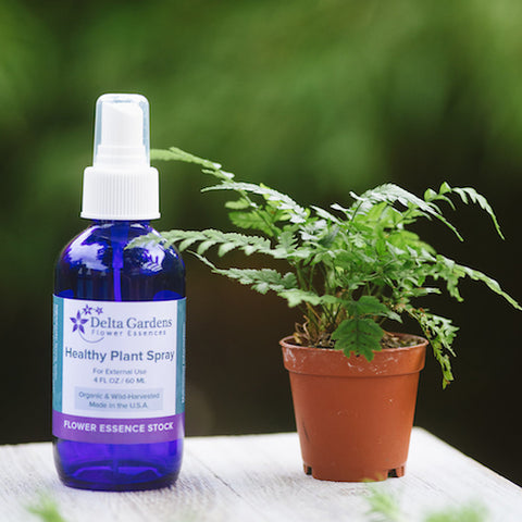 Healthy Plant Spray