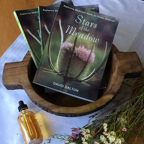 Stars of the Meadow by David Dalton