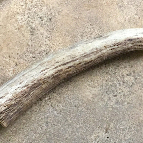 Deer Antler